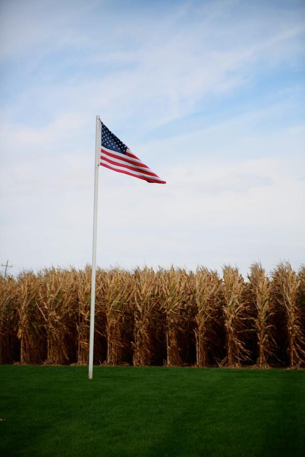 Field Of Dreams House Apartment Dyersville Bagian luar foto